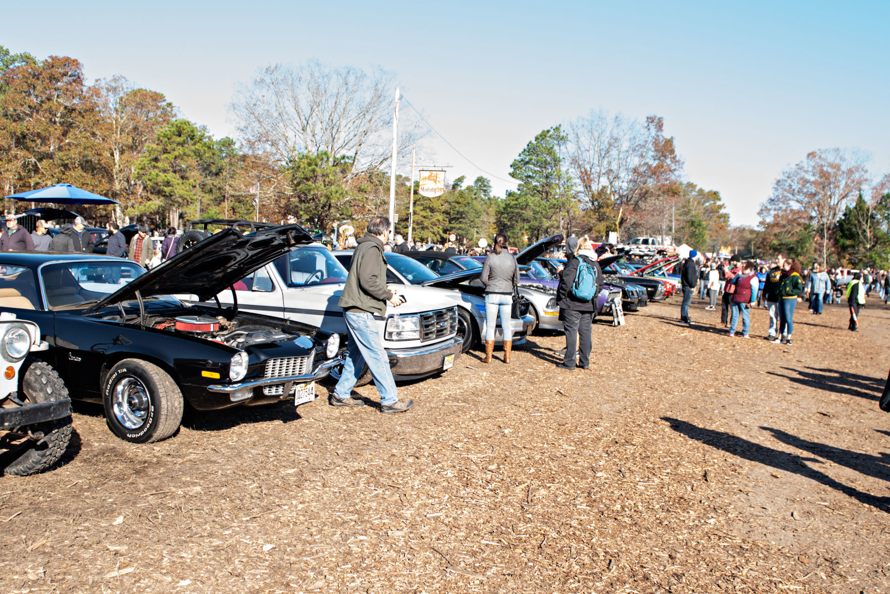 110319_nws_pumpkinrun